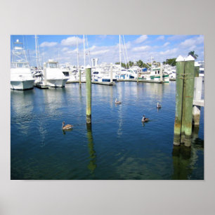 Póster Fort Lauderdale, Florida