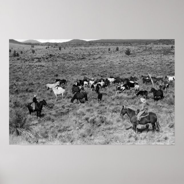 Póster Fort Rock, Oregon Cowboy in the Devil's Garden (Frente)