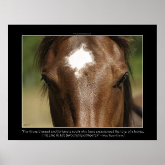 Póster FORTUNATE ~ Poster de fotografía del caballo de ca