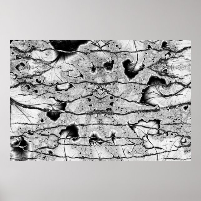 Póster Fósil (Frente)