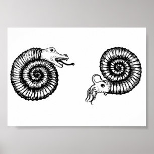 Póster Fósil: ¿Hiedra o amonita?