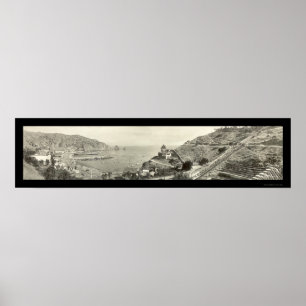 Póster Foto 1914 de la isla de Santa Catalina