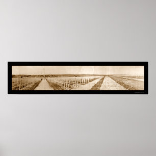 Póster Foto 1919 de Francia WWI del cementerio