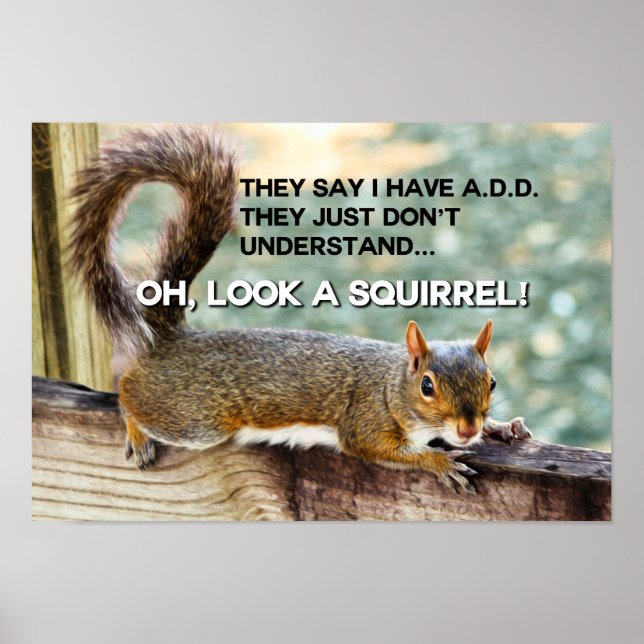 Póster Foto ADD Squirrel (Frente)