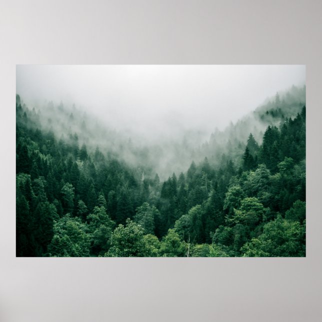 PÓSTER FOTO AÉREA DE ÁRBOLES VERDES (Frente)