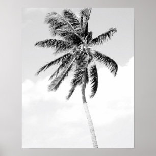 Póster Foto blanco y negro de la playa de la palmera