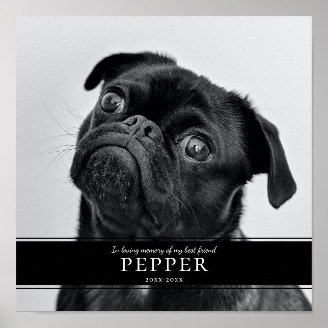 Póster Foto conmemorativa moderna del perro mascota en me (Frente)