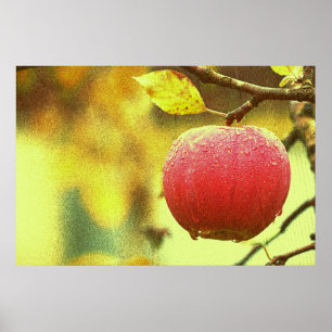 Póster Foto Cute "Red Apple". ¡Hazte con una en Zazzle
