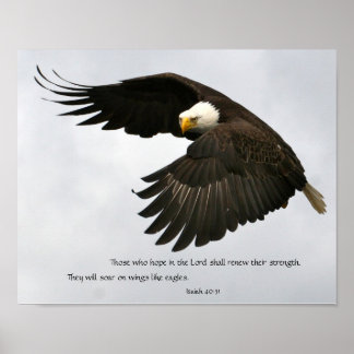 Póster Foto de águila con verso bíblico