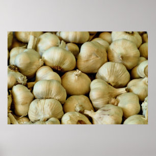 Póster Foto de ajo fresco