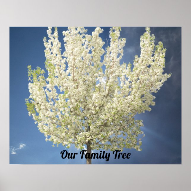 Póster Foto de árbol blanco brillante de árbol de familia (Frente)
