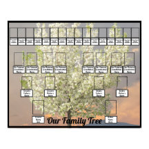 Foto de árbol de flores de dos familias | Amanecer