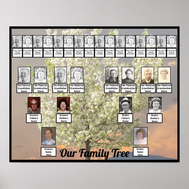 Póster Foto de árbol de flores de dos familias | Amanecer (Frente)