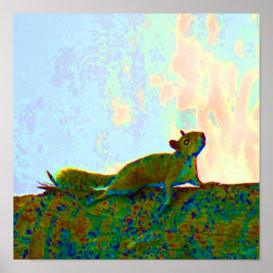 Póster foto de ardilla