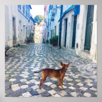 Foto de arquitectura de perro de Lisboa Alfama