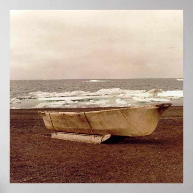 Póster Foto de barco Umiak Walrus Skin Whalers diseñada (Frente)