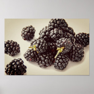 Póster Foto de Blackberry. ¡Hazte con una en Zazzle