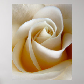 Póster Foto de boda de Rosa Crema