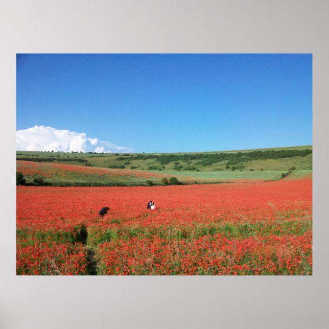 Póster Foto de boda en un campo de amapolas rojas (Frente)