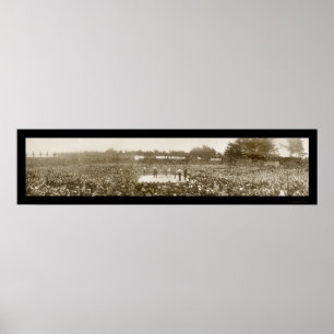 Póster Foto de boxeo Nelson Britt en 1905