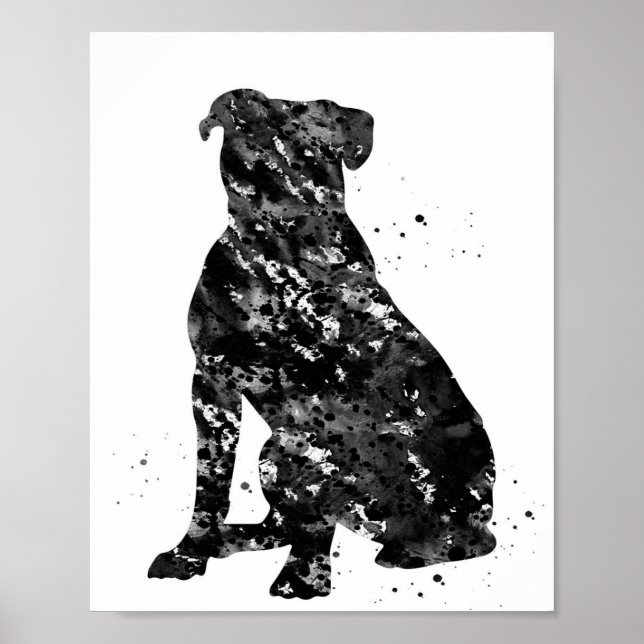 Póster Foto de bulldog norteamericano negro | Guay Presen (Frente)