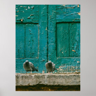 PÓSTER FOTO DE CERRADO DE DOS PIGEONAS GRIS EN CONCRETO G