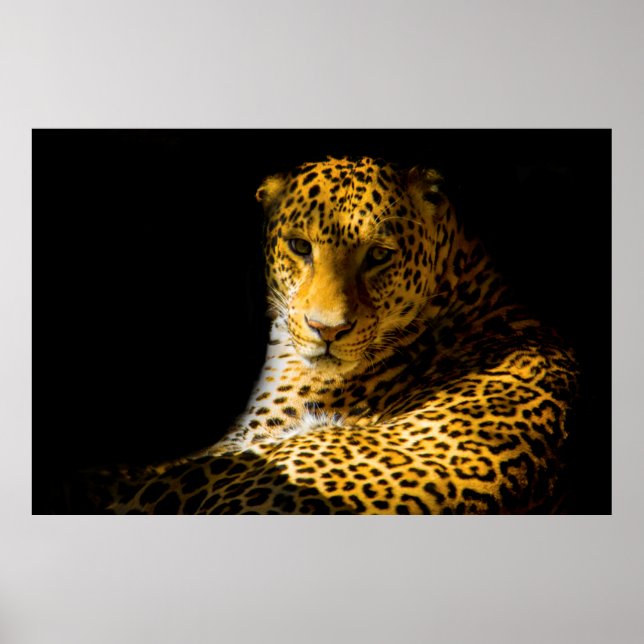PÓSTER FOTO DE CERRADO DE LEOPARD (Frente)
