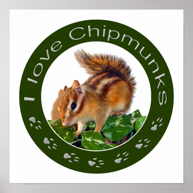 Póster Foto de Chipmunk (Frente)