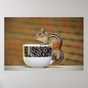Póster Foto de Chipmunk con Latte Coffee Cup