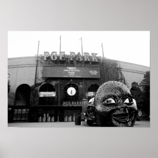 Póster foto de desilva