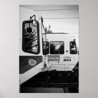 Póster foto de desilva