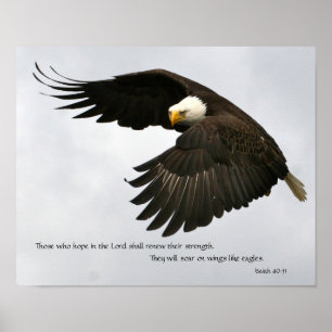 Póster Foto de Eagle con verso de la biblia