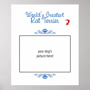 Póster ¡Foto de encargo! La rata más grande Terrier de