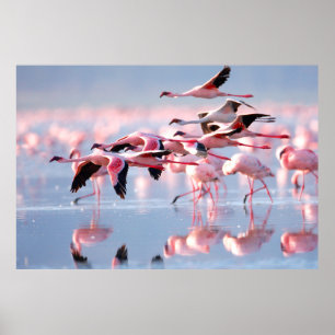 Póster Foto de estilo retro. Textura de papel. De textura