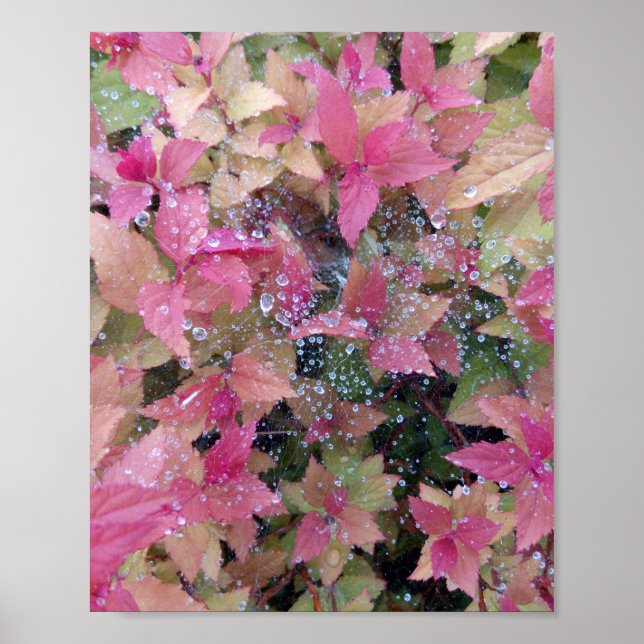 Póster Foto de flores (Frente)