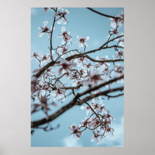 PÓSTER FOTO DE FLORES BLANCOS CON PETALLE