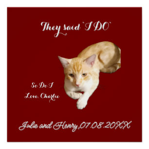 Póster Foto de gato ginger de boda personalizar texto