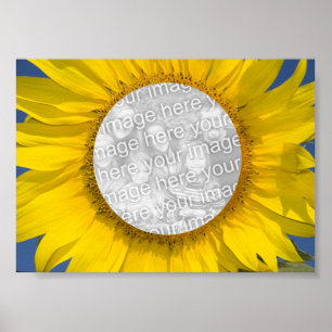 Póster Foto de girasol