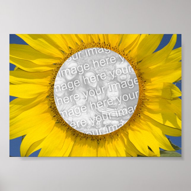 Póster Foto de girasol (Frente)