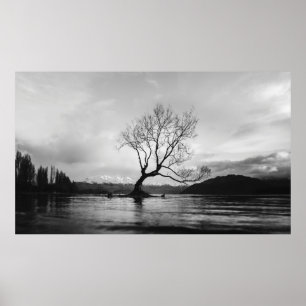 PÓSTER FOTO DE GRAYSCALE DE ÁRBOL DESCUBIERTO EN CUERPO T