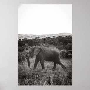 PÓSTER FOTO DE GRAYSCALE DE ELEFANTE GRIS CERCA DE ÁRBOLE