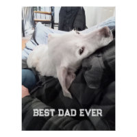 Foto de hermoso perro blanco con papá el Día del P