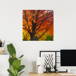 Póster Foto de hojas de otoño amarillas y naranjas