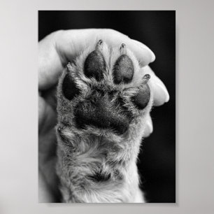 Póster Foto de huella de pata personalizada 5 por 7 Recue