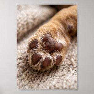 Póster Foto de huella de pata personalizada 5 por 7 Recue