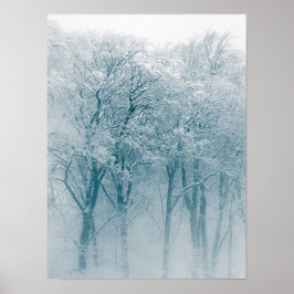 Póster Foto de invierno de árboles cubiertos de nieve