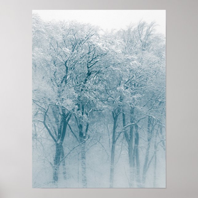 Póster Foto de invierno de árboles cubiertos de nieve (Frente)