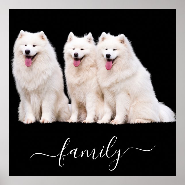 Póster Foto de la familia de los amantes del perro (Frente)