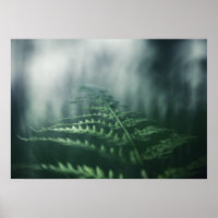 Foto de la naturaleza de Dark Moody Fern