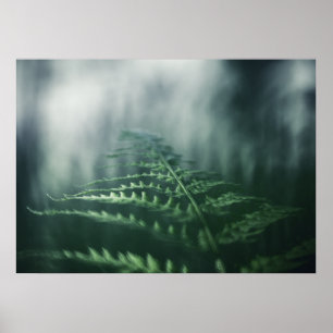 Póster Foto de la naturaleza de Dark Moody Fern